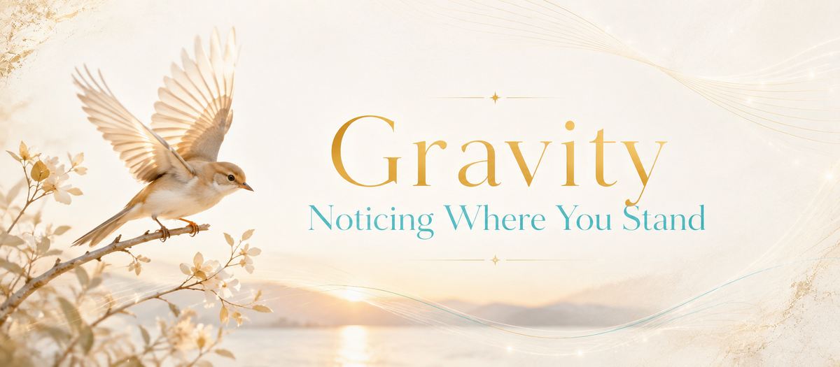 Gravity: Noticing Where You Stand
