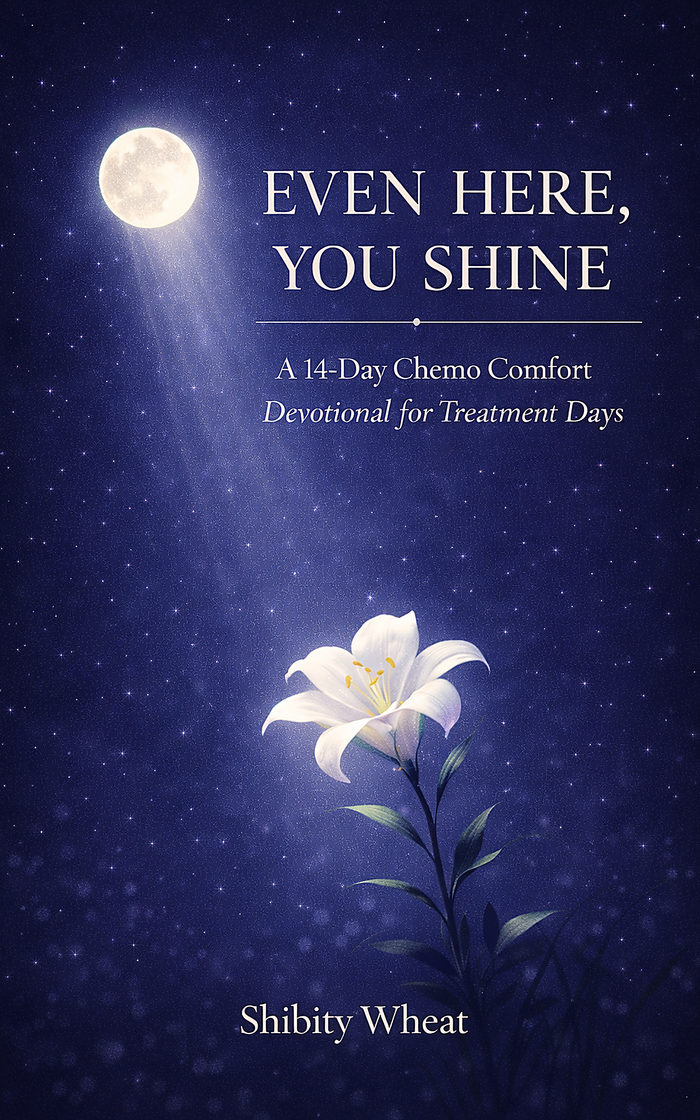Even Here, You Shine Devotional